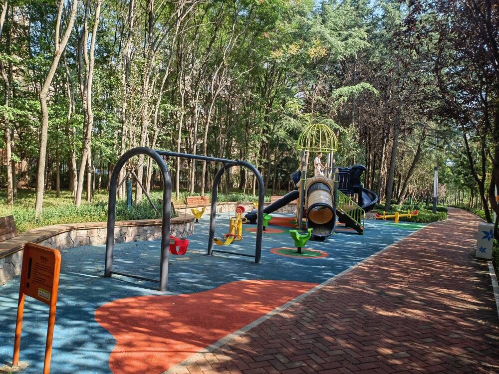 深圳路東側（仙霞嶺路-巖嶺路）綠地提升工程（設計）