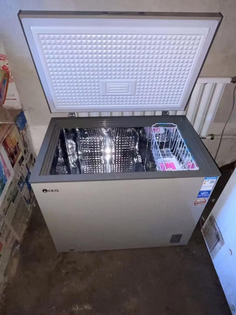 韓電一級耗能食品級不銹鋼內膽冷柜——工廠價直供，家用電器煥新首選